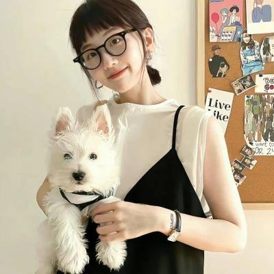 切罗基大街的房子封面